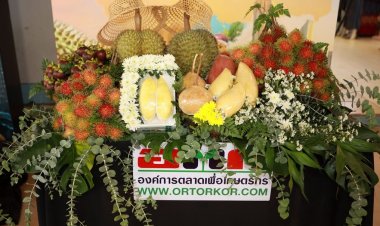 ส่งตรงจากไร่สวน ขายที่งาน “มหานครผลไม้ไทยภาคตะวันออก” ณ ตลาด อ.ต.ก.