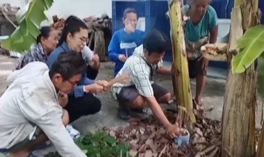 ฮือฮา!หัวปลีแปลกโผล่กลางลำต้นกล้วย คล้ายปลัดขิก เชื่อว่ามาให้โชค