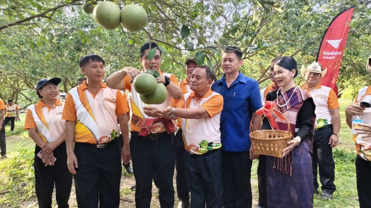 อบต.ตาโกนเตรียมจัดงานเทศกาลส้มโอศรีสะเกษ และของดีอำเภอเมืองจันทร์