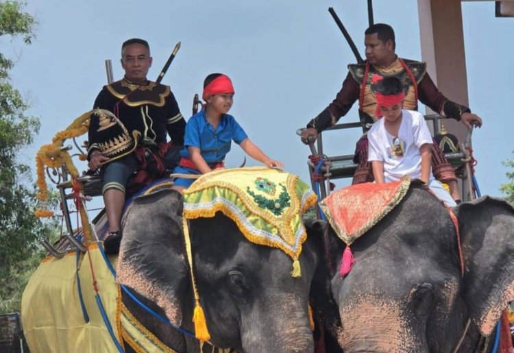 “ช้างใต้”ทะลักเมืองท่องเที่ยว ภูเก็ต กระบี่ พังงา บริการนักท่องเที่ยวทำนับแสน/ วัน