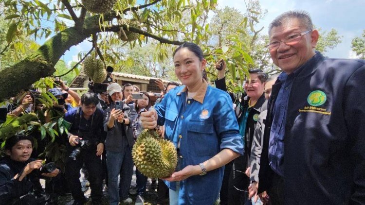 นายกฯย้ำส่งออกผลไม้ไทยมีคุณภาพเป็นที่ยอมรับในตลาดโลก