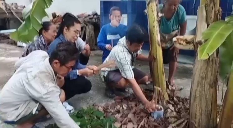 ฮือฮา!หัวปลีแปลกโผล่กลางลำต้นกล้วย คล้ายปลัดขิก เชื่อว่ามาให้โชค