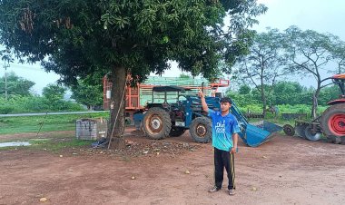 ผวาทั้งหมู่บ้าน!2ช้างป่าอ่างฤาไนบุกกินมะม่วหน้าบ้านกลางดึก