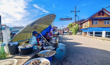 มลพิษพุ่งกระทบผู้เลี้ยงปลาพัทลุงทยอยเลิกกิจการ ดัน“ปลากะพง ปลานิล ปลาโอน”แพง