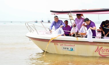 ชลบุรีปล่อยพันธุ์สัตว์น้ำ200,000 ตัวเทิดพระเกียรติและถวายเป็นพระราชกุศลแด่สมเด็จพระบรมราชินี