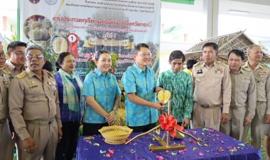 กระบี่ประกวดทุเรียนพื้นเมืองพันธุ์ดีพัฒนาให้อยู่คู่ท้องถิ่น-สร้างรายได้เกษตรกร