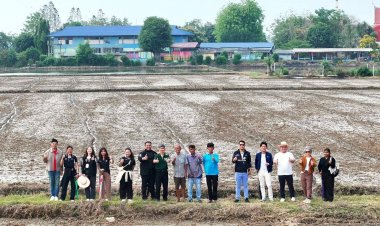 พลิกนาลดโลกร้อน“ปลูกข้าวแบบเปียกสลับแห้ง”นำร่องสุพรรณบุรี 500 ไร่