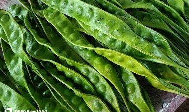 ยามเย็น !!! สะพายกระเป๋าเข้า “ตลาดกรูด” ที่นี่ขายของกินพื้นบ้านหาทานยาก