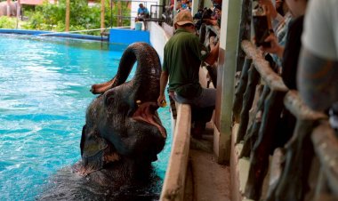 ททท. ผนึก อสส.ผลักดันให้อุตสาหกรรมท่องเที่ยวไทยเติบโตอย่างยั่งยืน