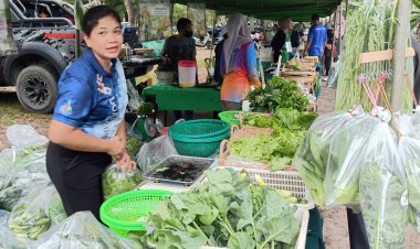 “เกษตรอำเภอตานี” เอาใจคนรักสุขภาพ เปิดตลาดในม.อ.ยอดขายคึกคัก