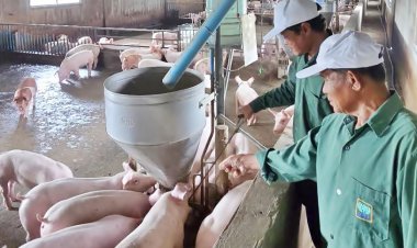 มรดกจากพ่อ สานต่อด้วยรัก : "คอนแทรคฟาร์มมิ่ง" อาชีพที่สร้างชีวิตให้ยั่งยืน