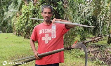 ชีวิตสู้กลางสวน “ช่างมน บ้านหรั่ง” มือเสียบ แทง ตัดทางบน “ยอดปาล์ม”