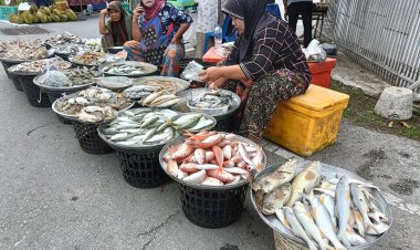 ชมตลาดพื้นบ้านยามเย็น  "หนองจิก" แวะซื้อปลาทะเลสดจากอ่าวไทย