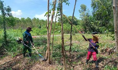 เสียงสะท้อนแรงงานเขมรขอทำงานในไทยดีกว่ากลับบ้านเกิดไร้อนาคต