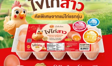 ซีพีเอฟ เปิดตัว “ไข่ไก่สาว CP” ไข่ไก่คัดพิเศษจากแม่ไก่วัยสมบูรณ์