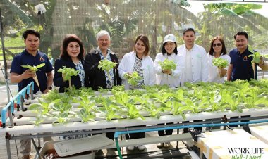 "ทุนวิจิรพงศ์พันธุ์" ทุ่ม 533 ล.สร้างสังคมดี ผ่านพนักงานจิตอาสา