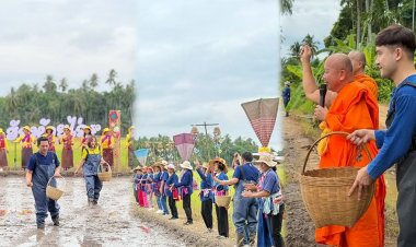 ‘ฮ่วมแฮง-ฮ่วมใจ’ หว่านกล้า-สืบสานประเพณี ‘เจดีย์ข้าววัดโฆษา’