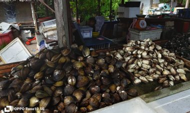 ศก.แย่ กำลังซื้อหด !!!  แม่ค้าย่านนาเกลือ ยอมรับอาหารทะเลสด “ลูกค้ากระเป๋าแห้ง”