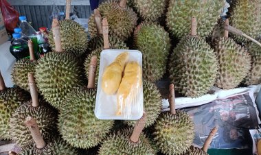 เครือสหพัฒน์ช่วยสังคม รับนโยบายรัฐ เกษตรกรนำสินค้ามาขายผัก-ผลไม้