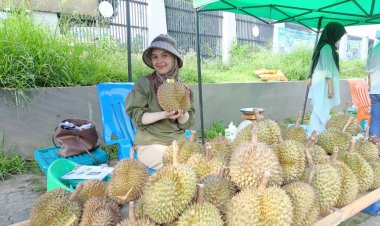 มาแล้วของดีชาวใต้ !!! “ทุเรียนทรายขาว” ลอตแรกออกสู่ตลาดโล 180บ. ลูกค้าแห่ซื้อกันคึกคัก