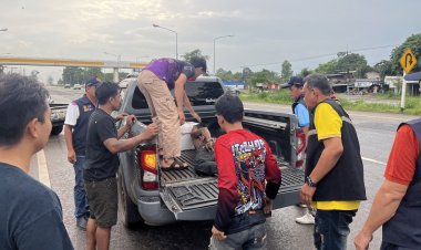 จนท.บุกรวบชายคลั่งถือมีดวิ่งไล่เด็กนักเรียนอยู่หน้าโรงเรียนช่วงเลิกเรียน