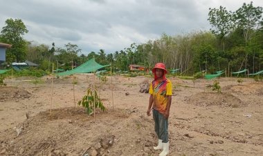 “บ้านด่านโลด”ต้นแบบ ทำสวนผสมผสานปลูกทุกอย่างที่กินได้-ขายได้ สร้างรายได้ตลอดปี