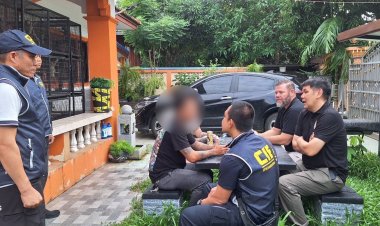 ทลายเครือข่ายค้าลิงอุรังอุตังลอบนำเข้าจากชาติเพื่อนบ้านผ่านไทยส่งออกประเทศที่ 3