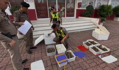 ตำรวจจับแก๊งลอบขนสัตว์น้ำยึดดาวอินเดีย-ปลามังกร คารถบัส