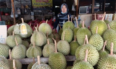 ได้ฤกษ์ชิมลางตลาด “ทุเรียนมูซังคิง-โอชี หนามดำ”  เนื้อแน่น สีสวย ชวนชิมของดีเมืองยะลา