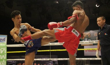 "พลายพยัคฆ์" ทะลุเข้ารอบรองชนะเลิศ เป็นคนที่ 2  ศึกมวยปูนเสือ