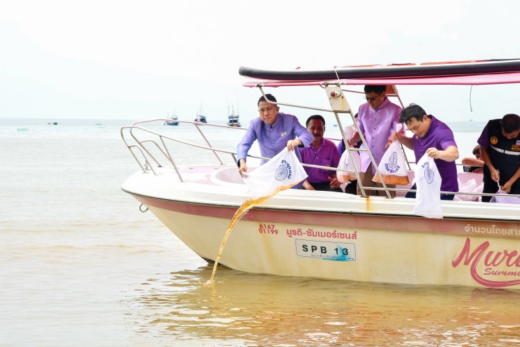ชลบุรีปล่อยพันธุ์สัตว์น้ำ200,000 ตัวเทิดพระเกียรติและถวายเป็นพระราชกุศลแด่สมเด็จพระบรมราชินี