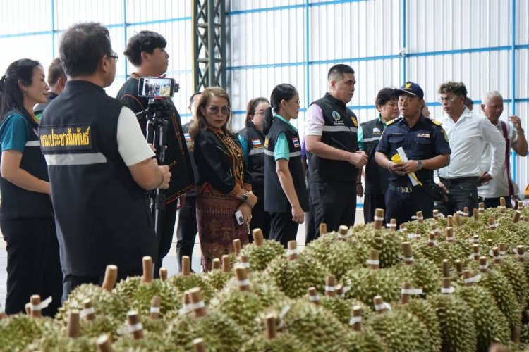 ศรีสะเกษจัดมหกรรม Big Cleaning Day เชื่อมั่น 4 ไม่ส่งออกทุเรียนปลอดภัย