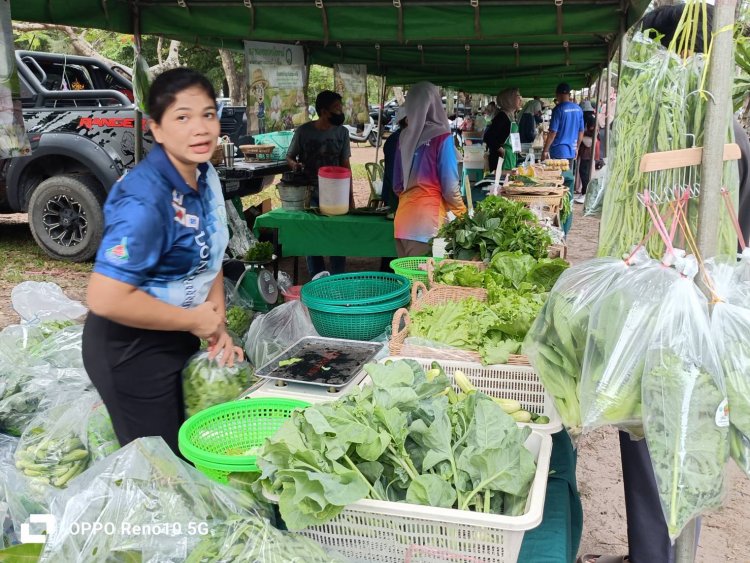 “เกษตรอำเภอตานี” เอาใจคนรักสุขภาพ เปิดตลาดในม.อ.ยอดขายคึกคัก