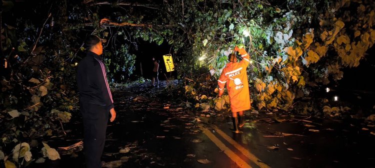 พายุฝนพัดถล่มเบตง จนท.เร่งช่วยเหลือปชช.ได้รับผลกระทบจากวาตภัย