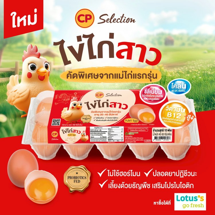 ซีพีเอฟ เปิดตัว “ไข่ไก่สาว CP” ไข่ไก่คัดพิเศษจากแม่ไก่วัยสมบูรณ์