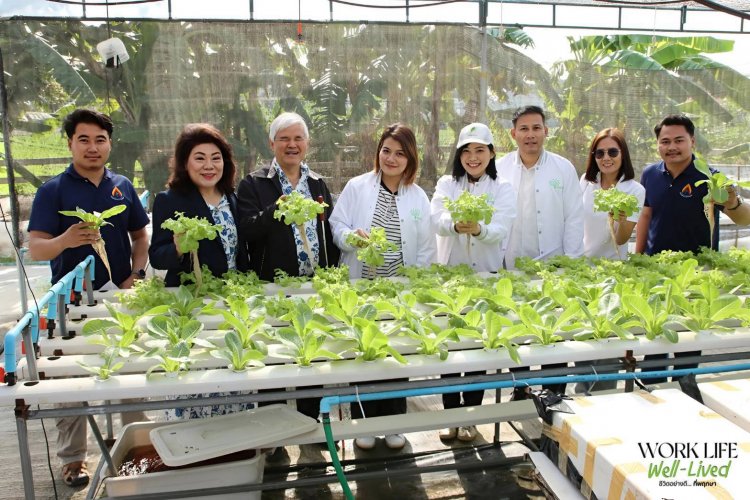 "ทุนวิจิรพงศ์พันธุ์" ทุ่ม 533 ล.สร้างสังคมดี ผ่านพนักงานจิตอาสา