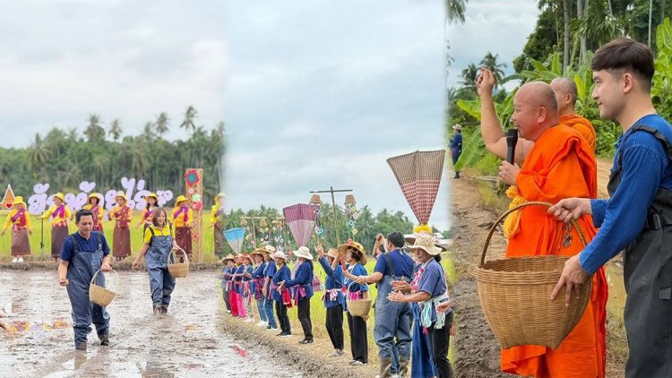 ‘ฮ่วมแฮง-ฮ่วมใจ’ หว่านกล้า-สืบสานประเพณี ‘เจดีย์ข้าววัดโฆษา’