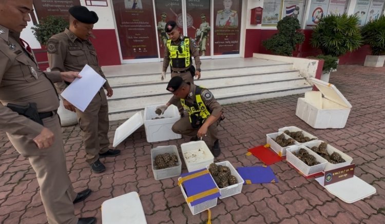 ตำรวจจับแก๊งลอบขนสัตว์น้ำยึดดาวอินเดีย-ปลามังกร คารถบัส