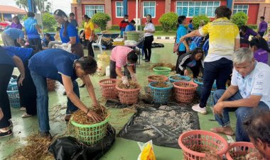 ทม.ลำปลายมาศ สอนผู้พิการ-ด้อยโอกาส-ยากไร้  เพาะเห็ดฟาง สร้างรายได้