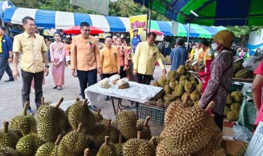 อลังการ!"เทศกาลผลไม้ และของดีศรีขุนหาญ" กระตุ้นเศรษฐกิจ