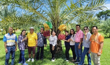 เปิดแล้ว สวนอินทผลัม “ฟูจิฟาร์ม ครบุรี” ชม ชิม ช๊อป พร้อมวิวสุดว้าว!!!