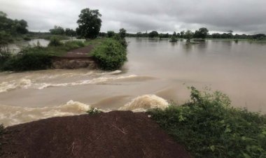 ฝนถล่มน้ำท่วมนาแกพื้นที่การเกษตรเสียหายแล้วกว่า 1.5 พันไร่