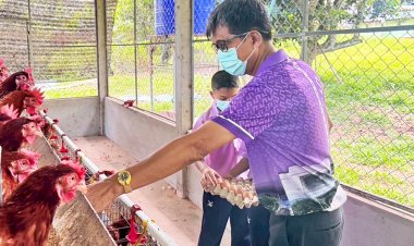 พาชมเบื้องหลัง ‘ไข่ไก่สด’ ที่เด็กๆ โรงเรียนบ้านร้านตัดผม เลี้ยงกันเอง