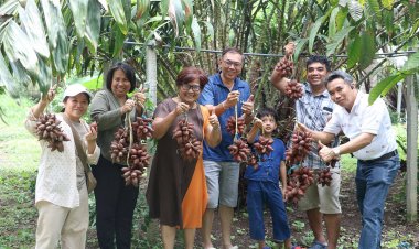 ส่อง “ไร่เพชรปิ่นทอง”ต้นแบบเกษตรปลูกสละหวานพันธุ์สุมาลี รายได้ปัง