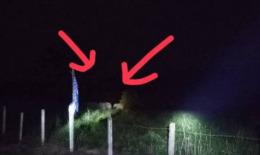 ทุกข์คนนาดี!โขลงช้างแม่ลูกอ่อนบุกทำลายพืชสวน-พังบ้านยับ-ปล้นเสบี้ยงอาหาร