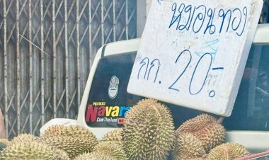 ดราม่า!ทุเรียน 20 บาท "แพรว"แม่ค้าชุมพรยืนยันขายจริง