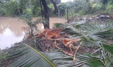 คนนาดีผวาหนัก!โขลงช้างป่าทับลานยกโขยงทำลายพืชสวนเสียหายหนัก