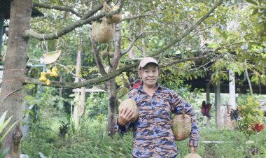 หญิงแกร่งนนทบุรี หนีน้ำท่วมบ้านเกิด มาทำไร่ทุเรียนไร้หนามที่ทองผาภูมิ