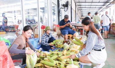 ร้าน "พี่ญาคนรุม" เปิดพื้นที่ให้เกษตรกร นำผลผลิตมาจำหน่ายแบบไม่ผ่านคนกลาง