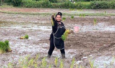 อัพเดทชีวิต "เจ๊อ๋อ" ถูกหวย 90 ล.เงินหมดแล้ว รับจ้างดำนา-ทำไร่